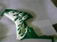 Carénages Moto Honda CBR1000RR 2006-2007 - Blanc Vert Flamme