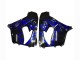 Carénages Moto Kawasaki ZX9R 2000-2001 - Noir Brillant Bleu Flamme Blanc